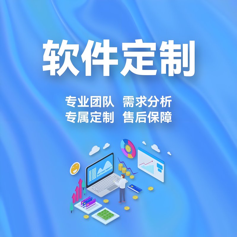 软件定制开发市场动态:企业信息化升级的新引擎
