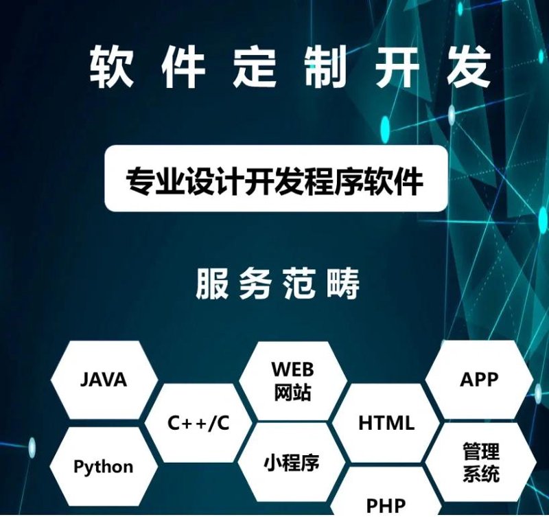 软件定制开发:企业腾飞的翅膀